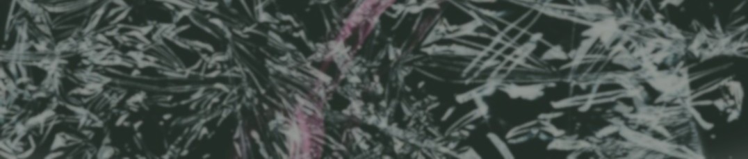 もっとも適した時間を見る（バナー）